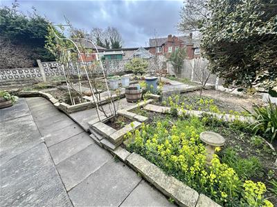 Picture 17